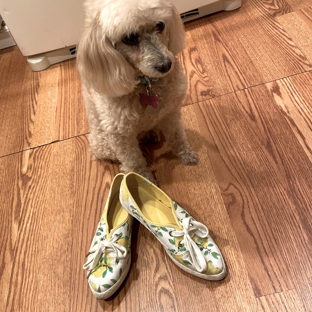 Kate spade-keds lemon sneakers, pre-loved condition. Size 7